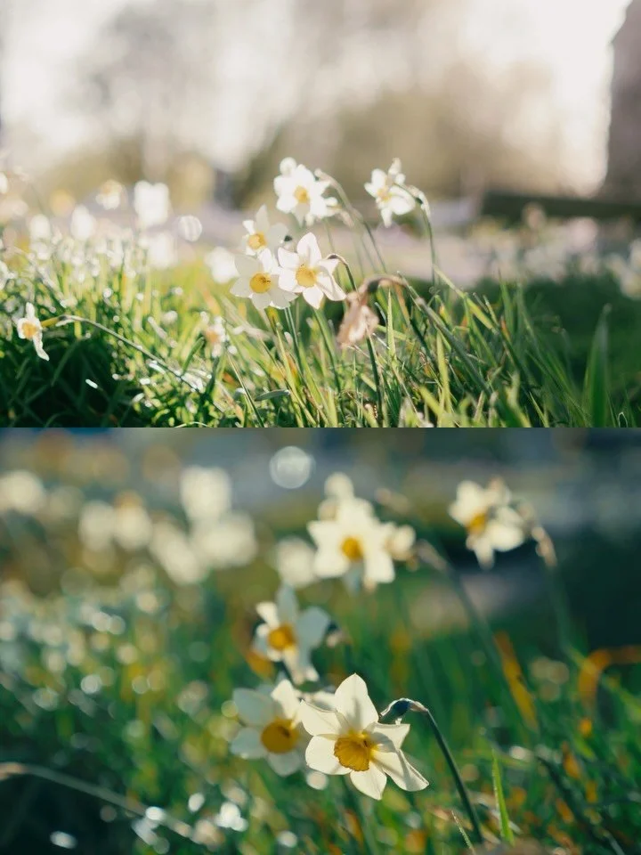 When I first picked up a camera at 16, my only subjects were nature and myself. I&rsquo;ve always been drawn to the stillness and quiet of the natural world, and to my own place within it. Ever since, I&rsquo;ve found myself constantly documenting th