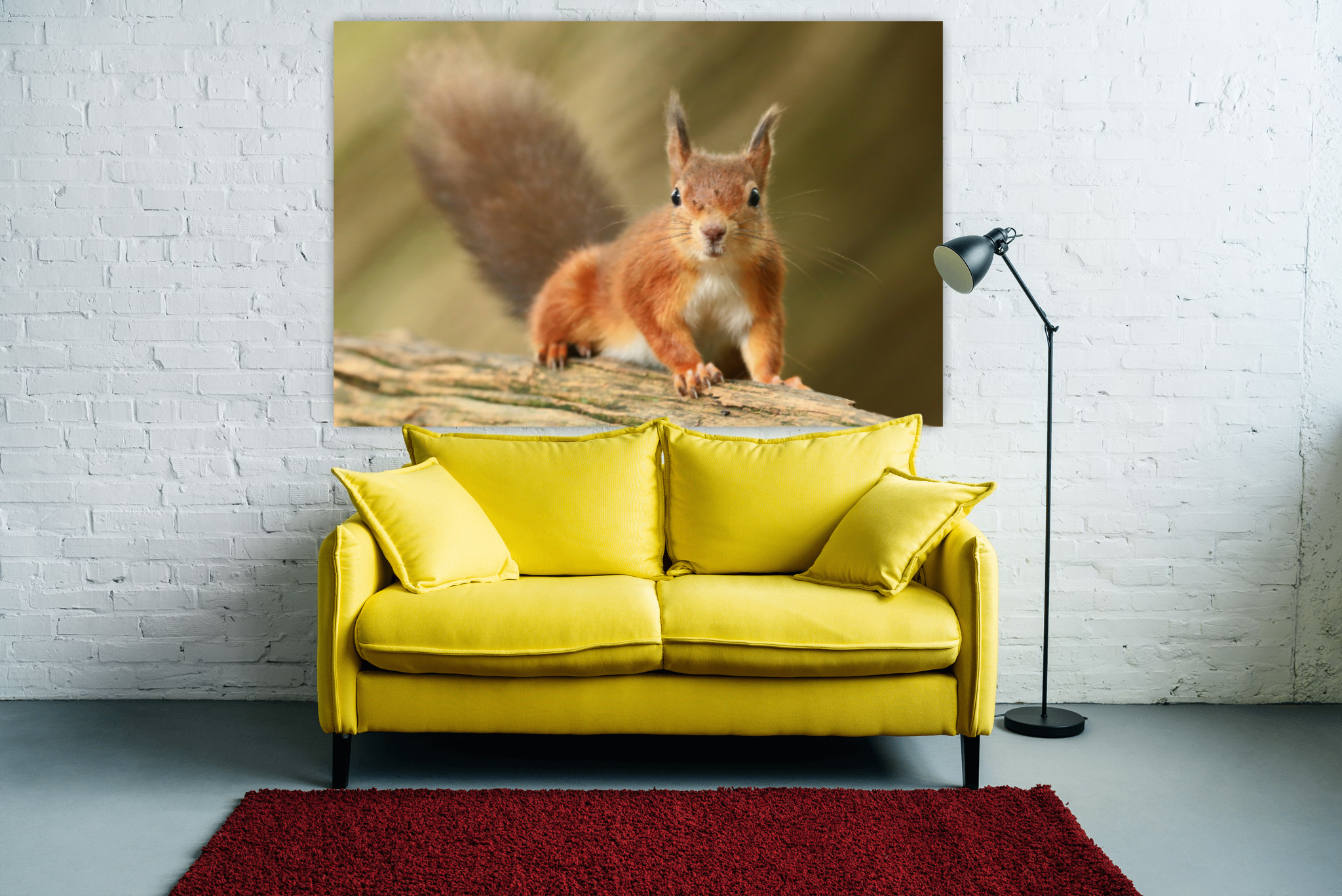 Example of Red Squirrel on wall