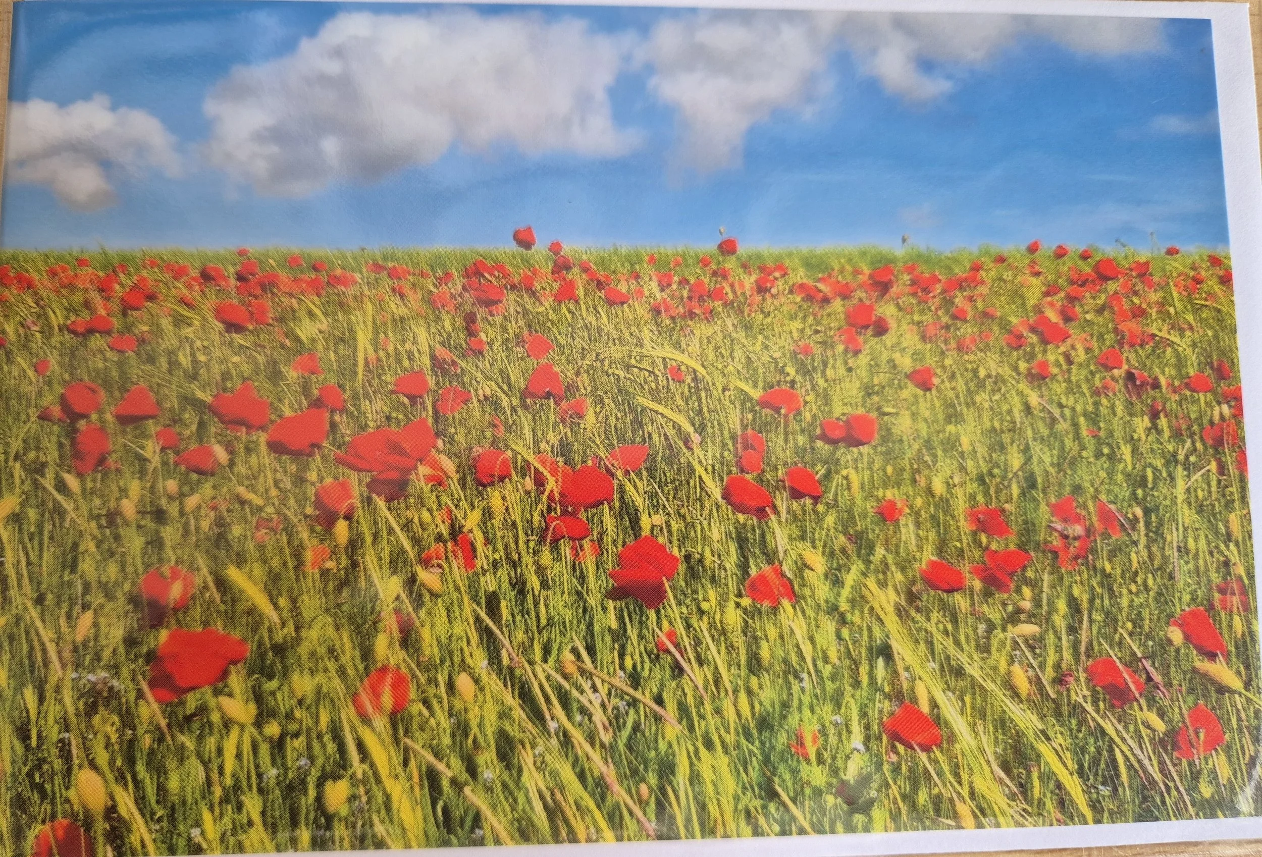 Quantity available = 7