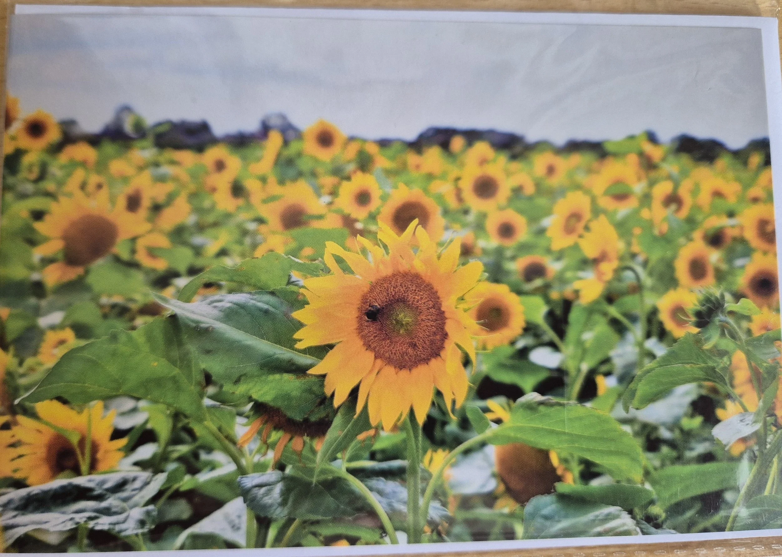 Quantity available = 2