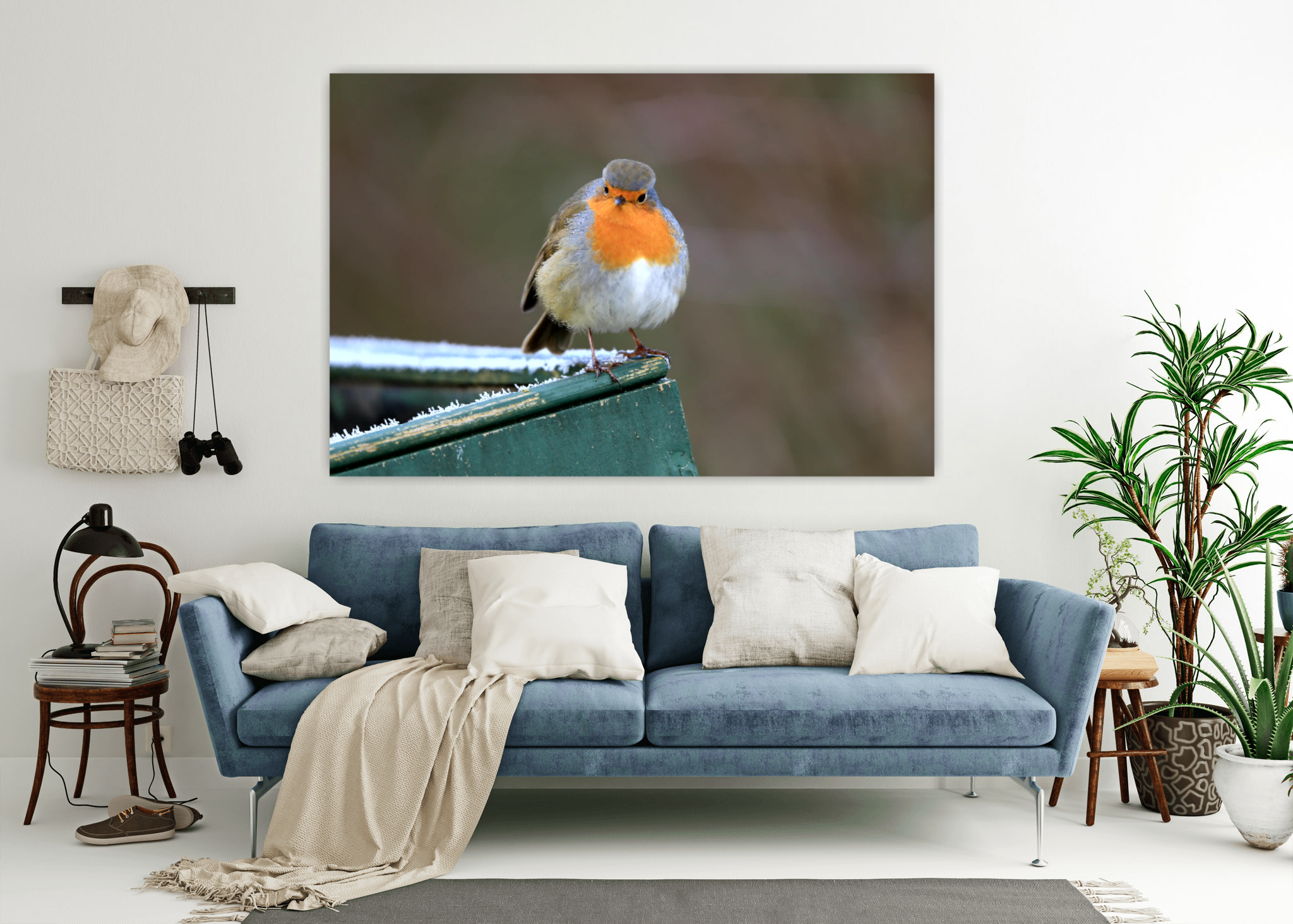 Example of Robin on wall