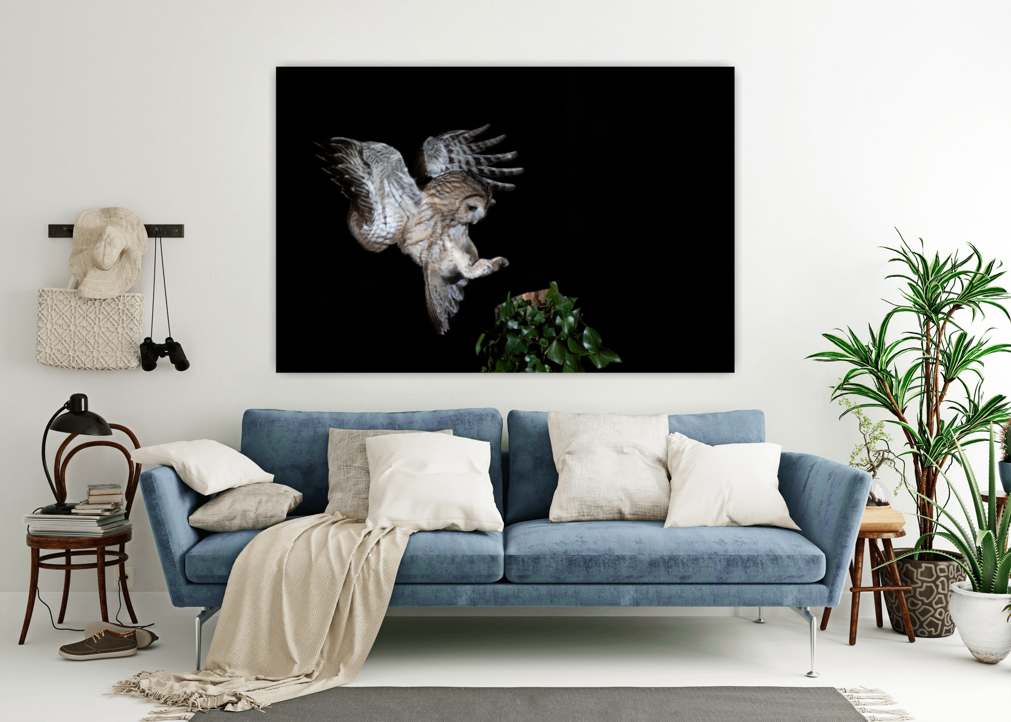 Example of Tawny Owl on wall