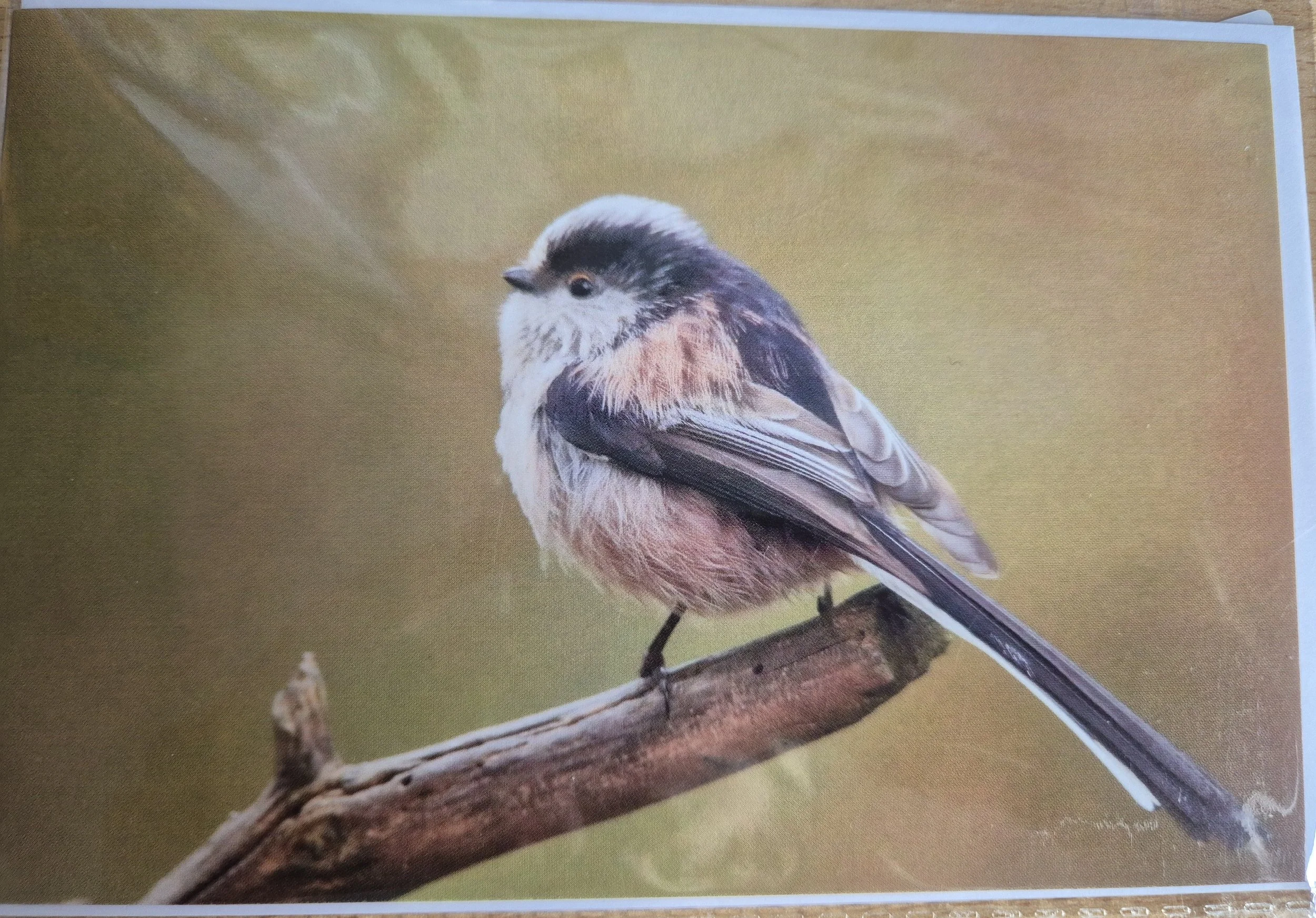 Quantity available = 1