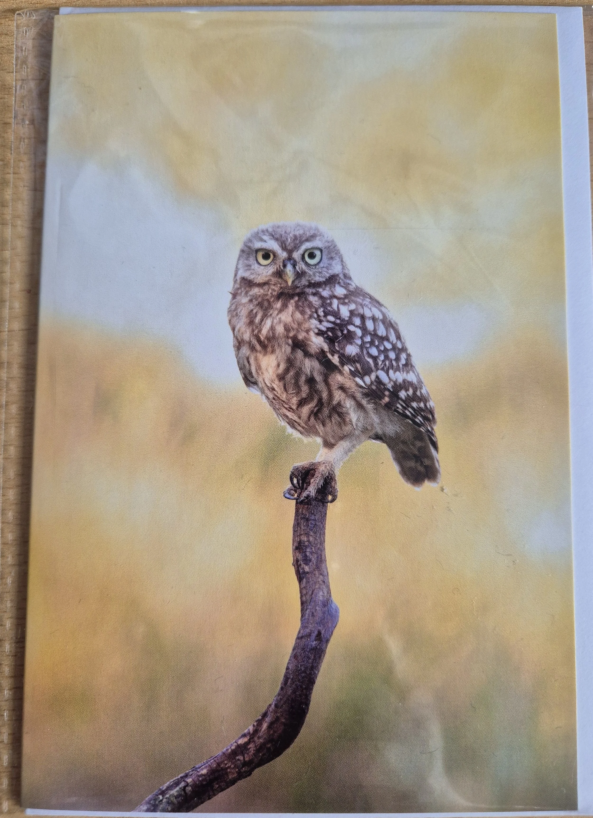 Quantity available = 1