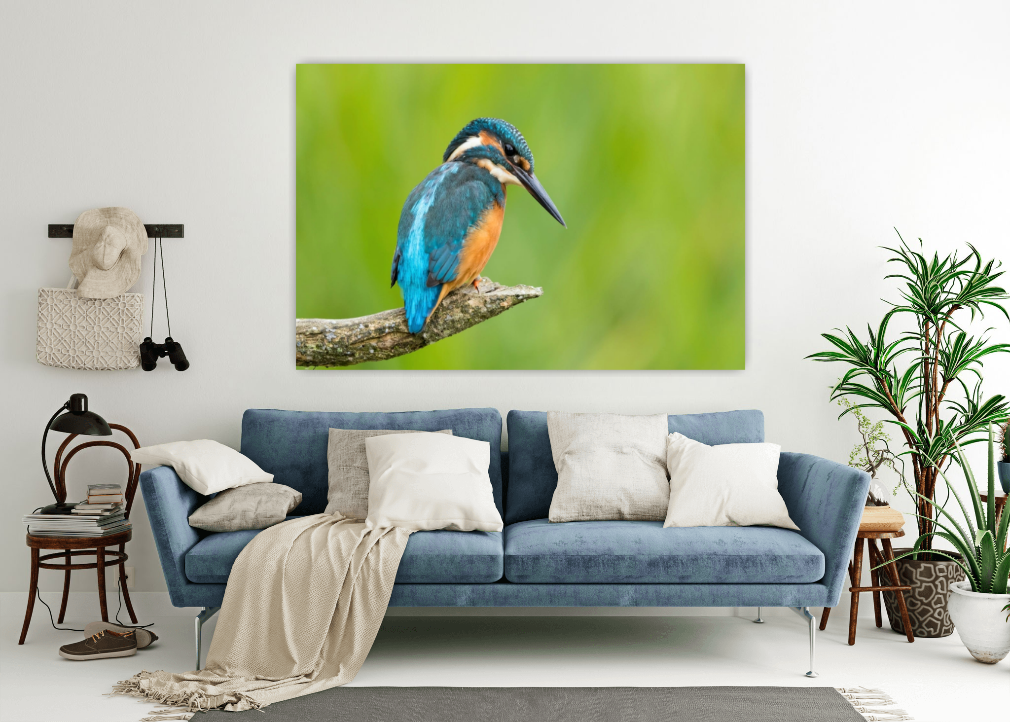 Example of Kingfisher picture on wall