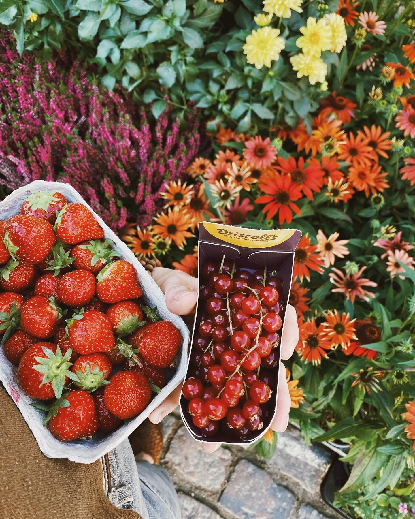 Spring color inspiration 🍋🍊🍑🍓 a little hint of some things to come later this month!!

#spring #colorinspo