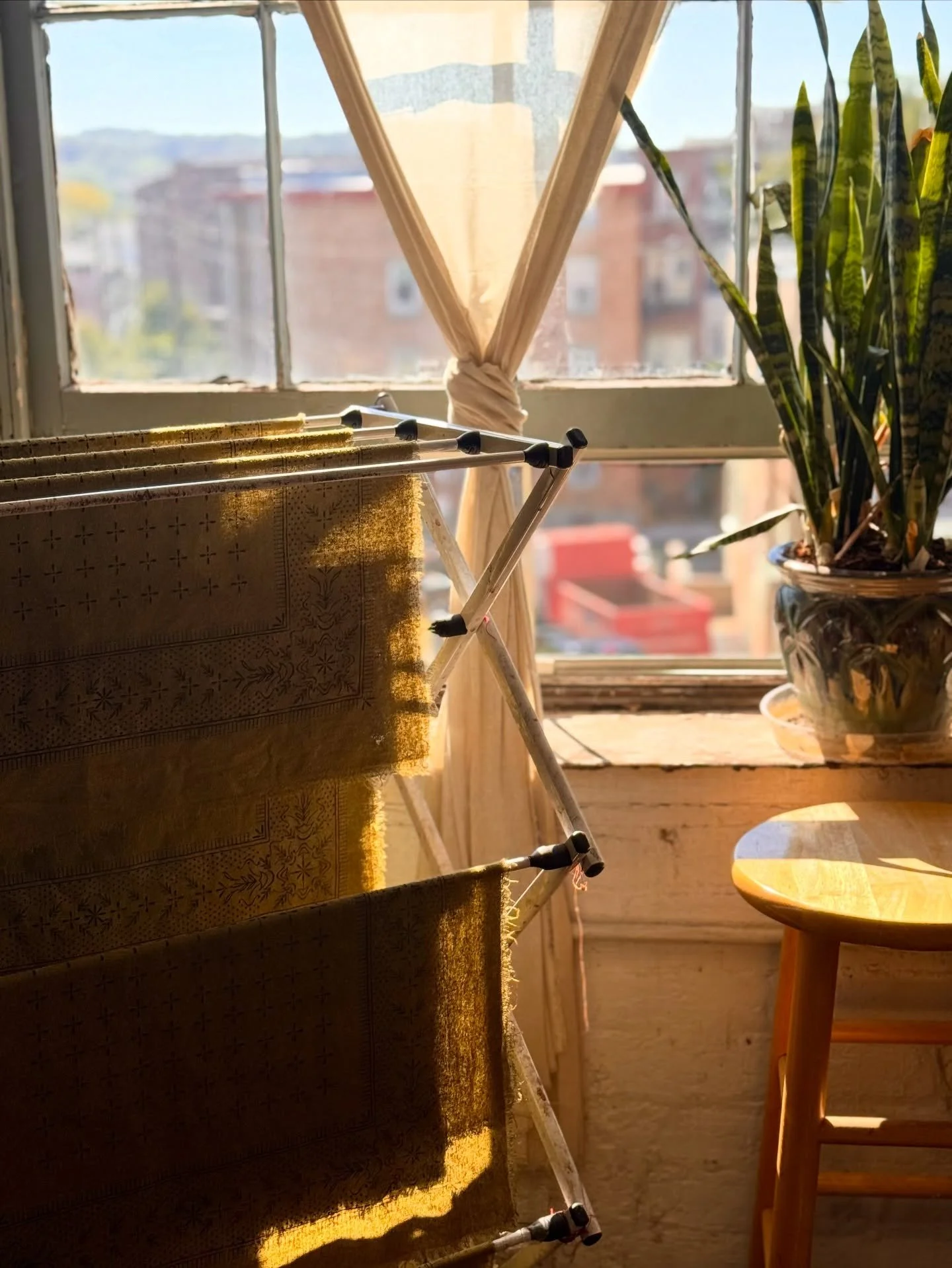 Olive green bandanas soaking up all the beautiful autumn sun. I love this time of year when the air is fresh, the sun in low in the sky. 🍃💚

#bandanastyle #autumn #olivegreen