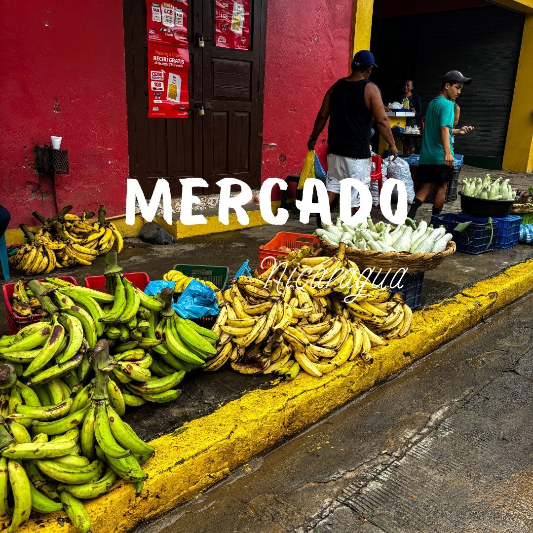 Plongez dans l'&acirc;me authentique du Nicaragua en visitant ses mercados locales ! 🥑🍉 Remplis de couleurs vives, de saveurs exotiques et de sourires chaleureux, c'est l'endroit id&eacute;al pour d&eacute;couvrir des produits frais, des artisanats