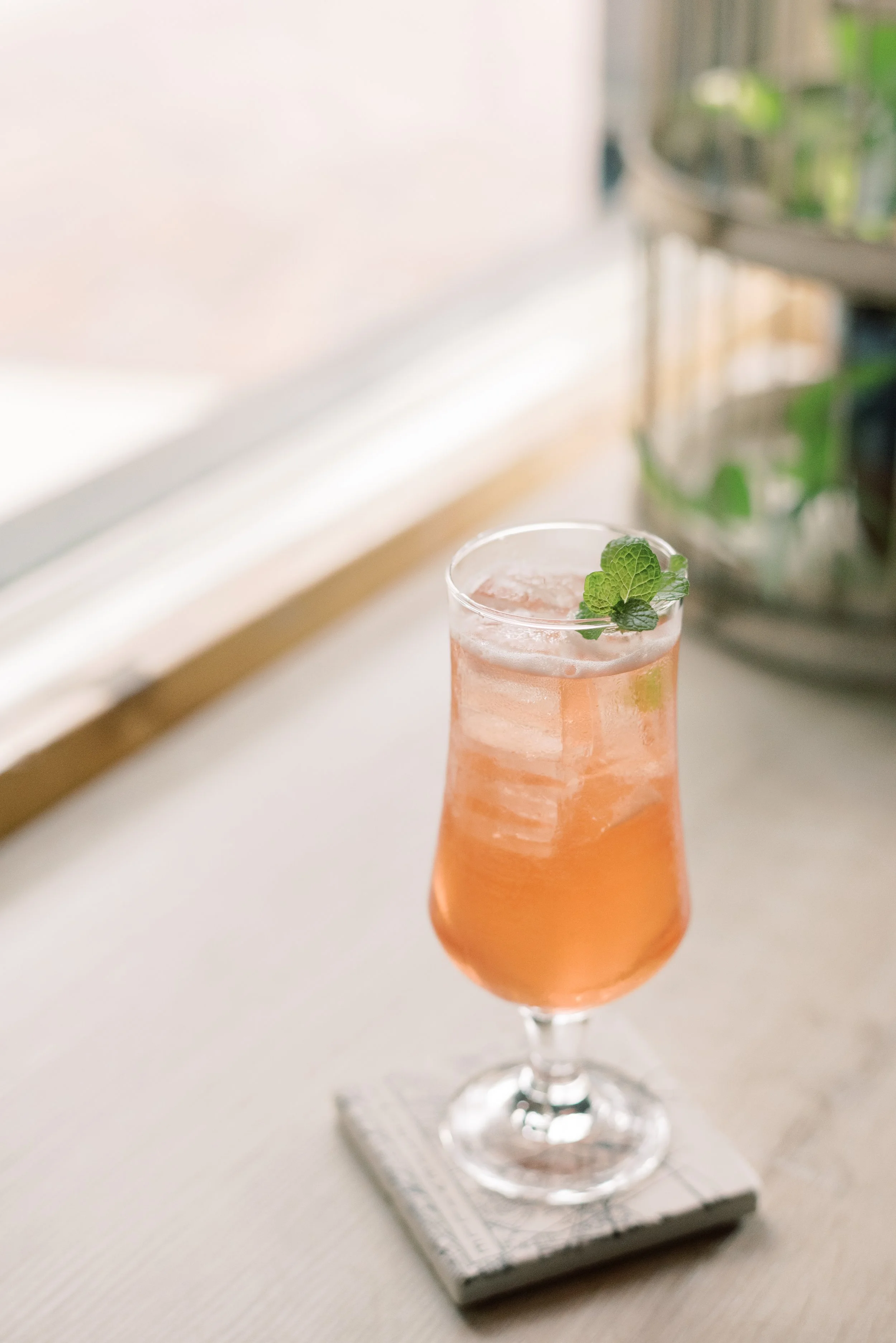 Winterbloom Tea-0019.JPG