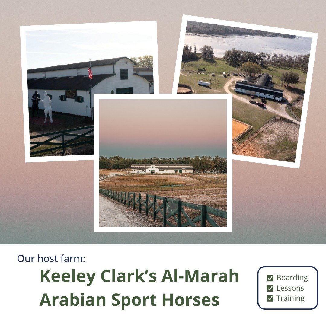 Meet our host farm, Keeley Clark&rsquo;s Al-Marah Arabian Sport Horses! Nestled in the serene landscapes of Clermont, they offer top-tier equestrian services, including horse boarding, riding lessons, and training for all skill levels. Come explore t