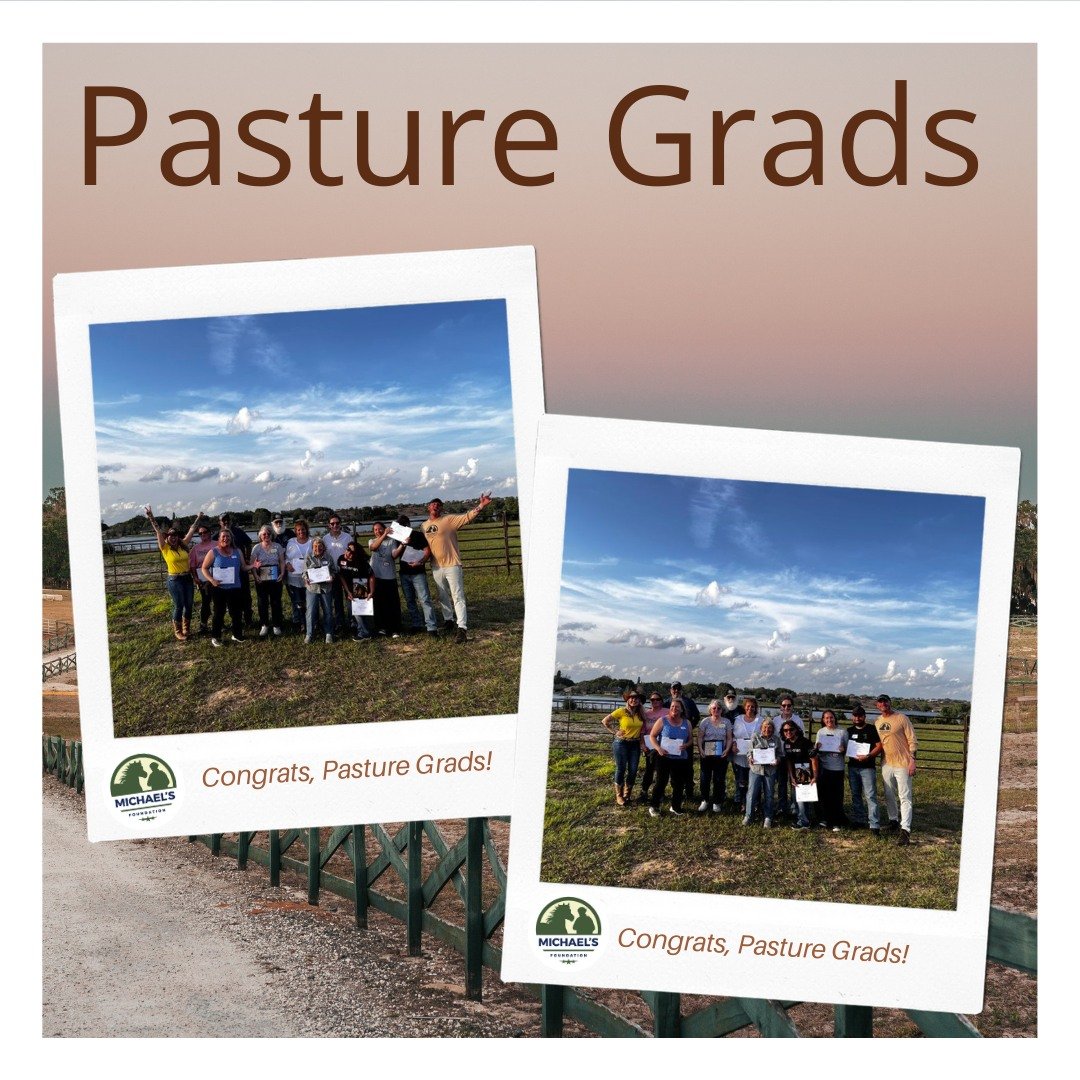 Huge congrats to our pasture grads!🌟 After 12 weeks of dedication, hard work, and quite a bit of fun, our riders have completed their riding lessons.

We're beyond proud! Here's to the beginning of many more adventures. #PastureGrads #ridingsuccess 