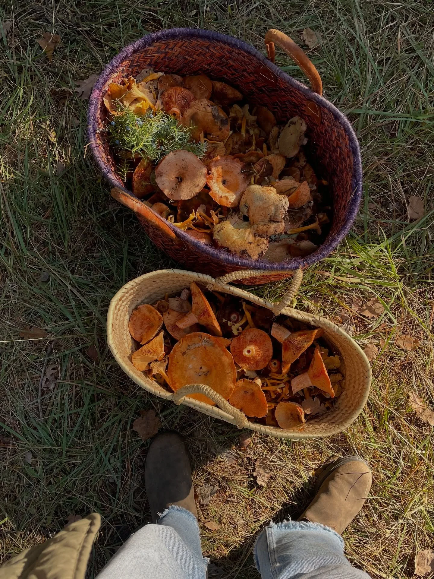 L&rsquo;automne 🍂🍄&zwj;🟫

Prendre la route vers l&rsquo;arri&egrave;re-pays, nos paniers, nos b&acirc;tons de marche et nos Opinels.
&Eacute;couter nos op&eacute;ras pr&eacute;f&eacute;r&eacute;s, Nabucco, Turandot, Tosca, La Traviata, Norma, Il T