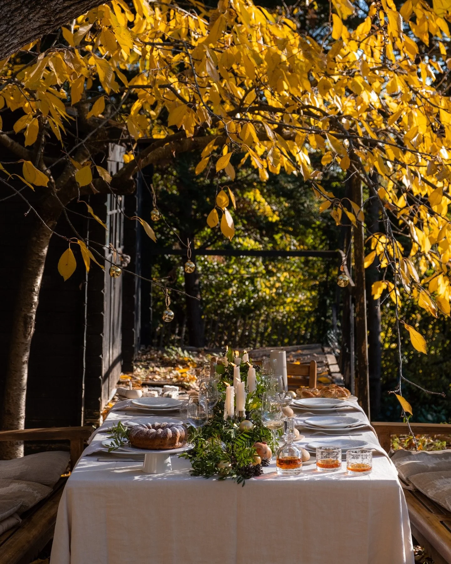 &bull; No&euml;l en Provence &bull;
Une table dans le jardin, sous le cerisier aux feuilles dor&eacute;es, un ciel clair, un vent l&eacute;ger et le soleil bas de d&eacute;cembre.
Je vous souhaite un No&euml;l lumineux ✨ des f&ecirc;tes pleines de do