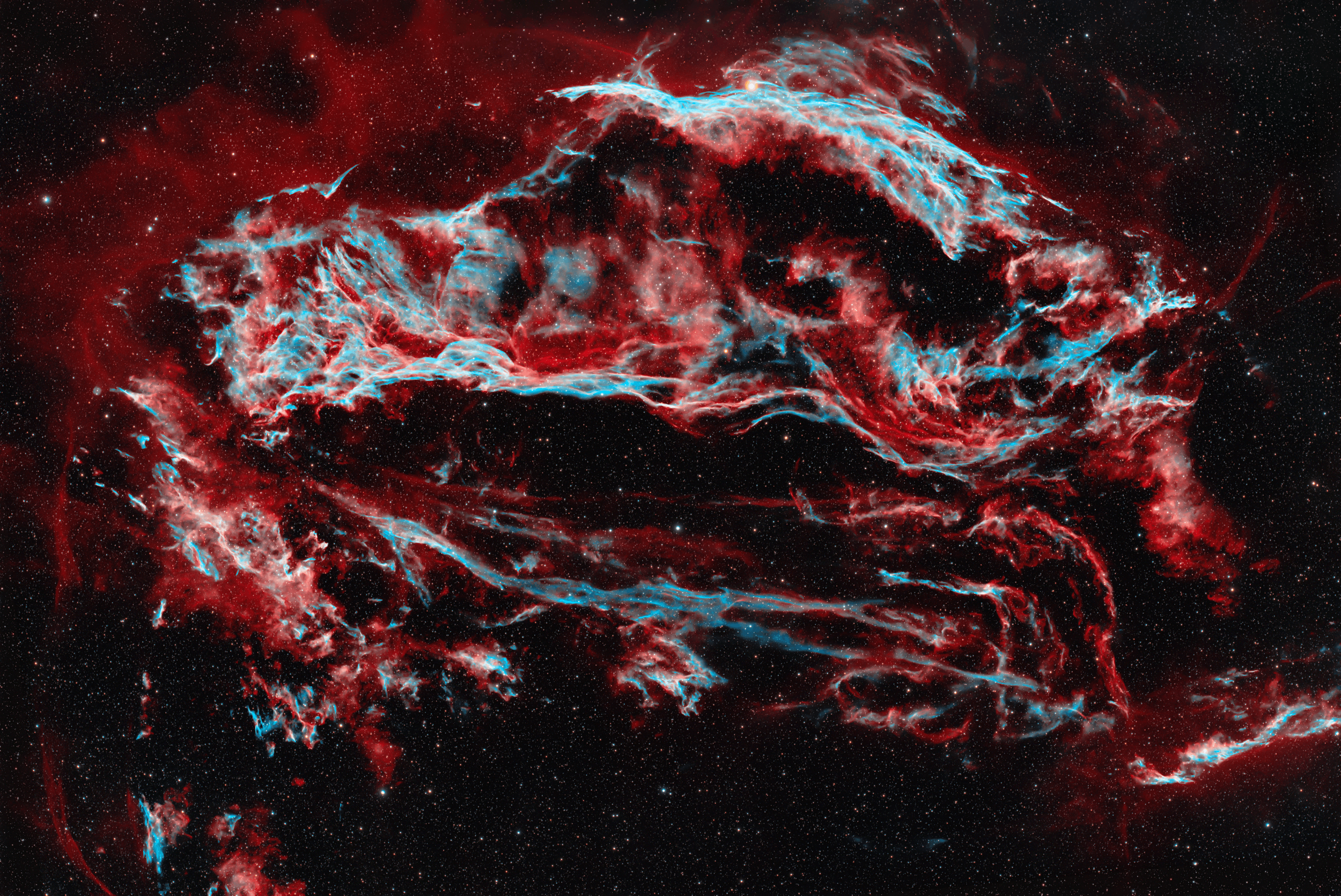 The Cygnus Loop
