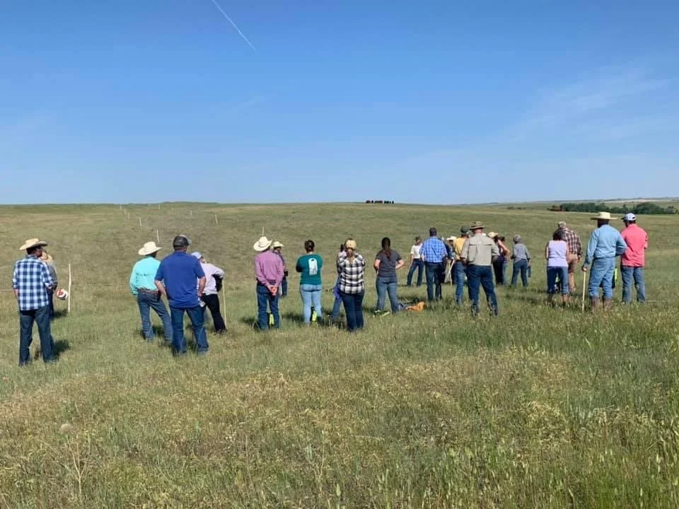 pasture alocations.JPG