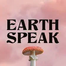 How To Tell a True Intuitive YES vs Wishful Thinking