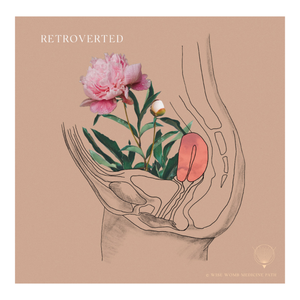 Symptoms of Retroverted &amp; Retroflexed Womb