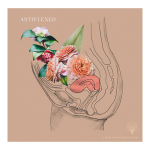 Symptoms of an Anteflexed &amp; Anteverted Womb