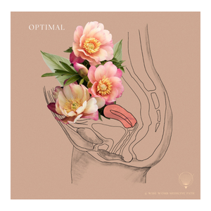 What Causes Womb Displacement?