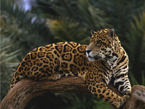 Living Life As A Ceremony Starts With Resonance