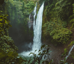 The First-Ever Interactive Resonance Ritual Handbook