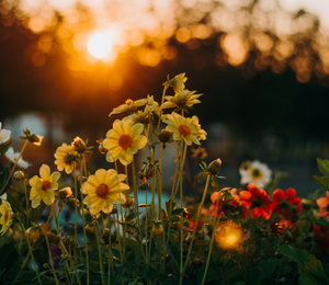 Tired of the same old new years resolutions?