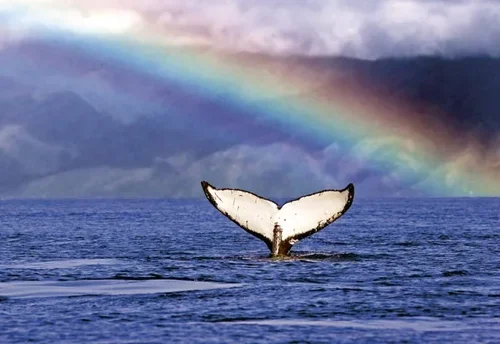 Blog PosAn Inspirational Rant on Power Dynamicst Title Two