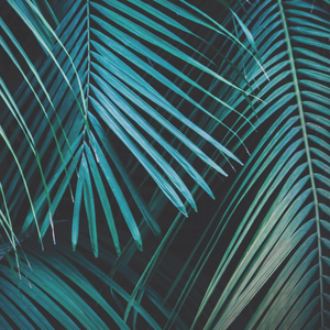 An Inspirational Rant on Power Dynamics