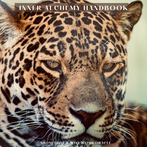 Announcing The Inner Alchemy Handbook