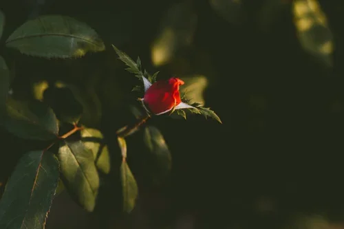 What are you waiting for?