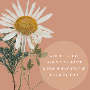 All womb carriers hold a key to healing the collective womb pain body.