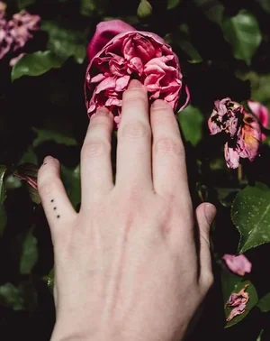 Sex magic and manifestation : Supercharge your manifestation practice through orgasm