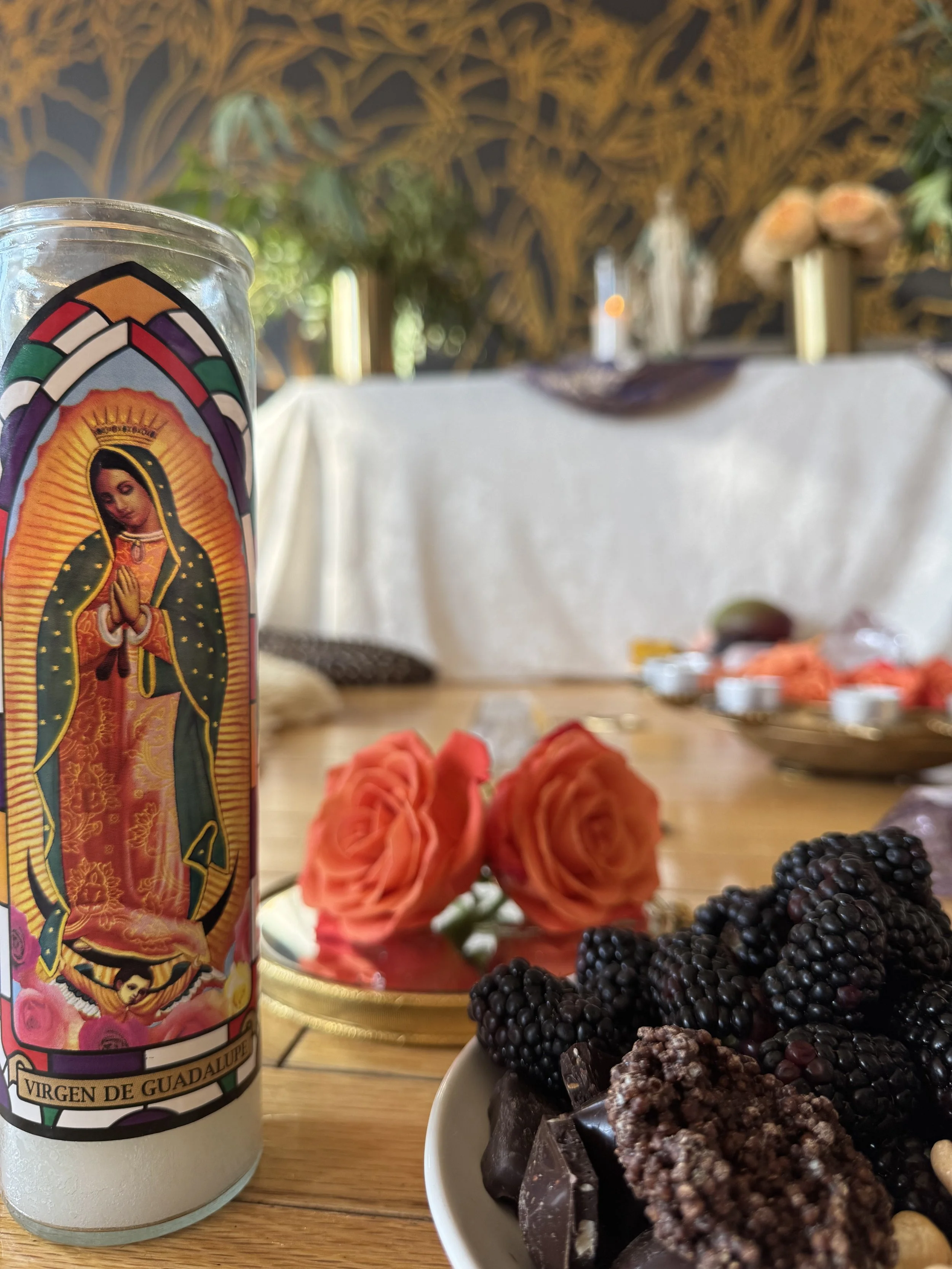 ✧ When Beauty Becomes the Compass ✧