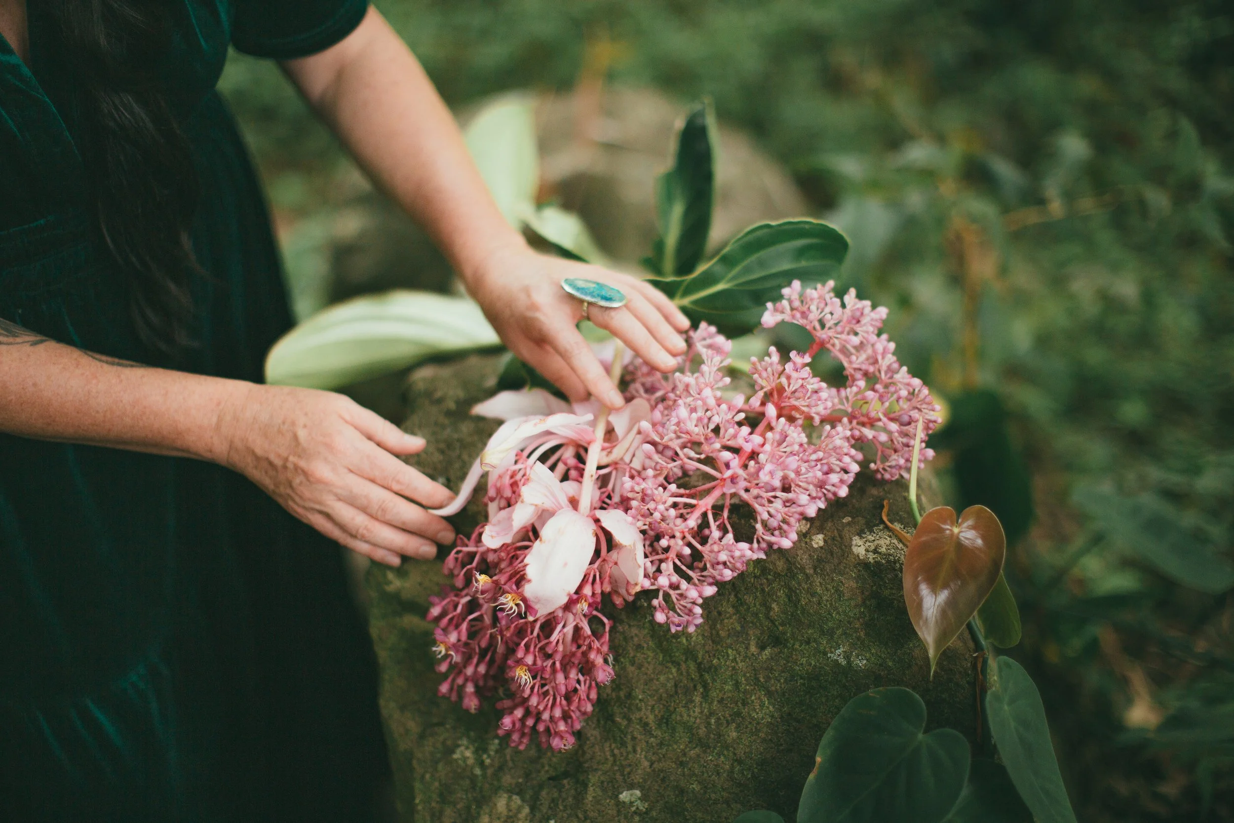 Divination for Home &amp; Land