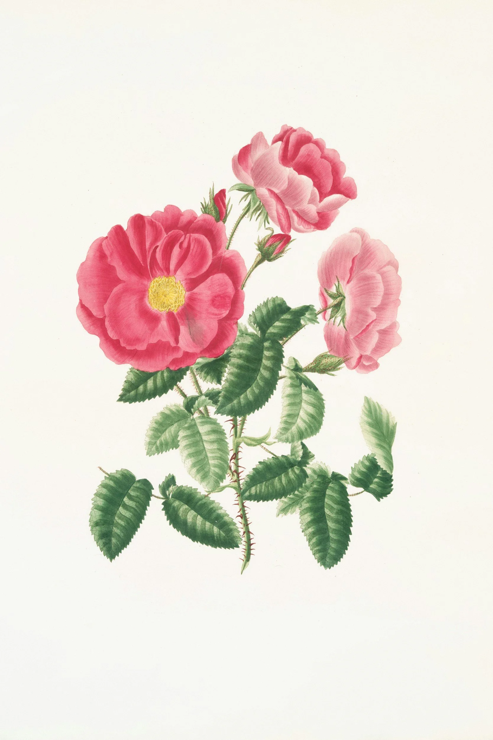 Boundaries, Agreements and Control 