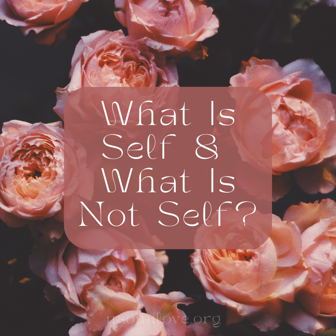 What is Self &amp; What is Not-Self?