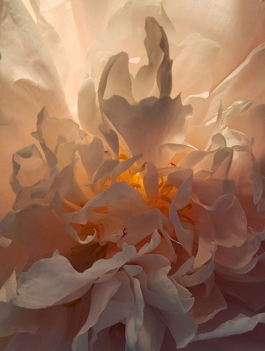 The Feminine Pain Body &amp; the Loss of the Holy