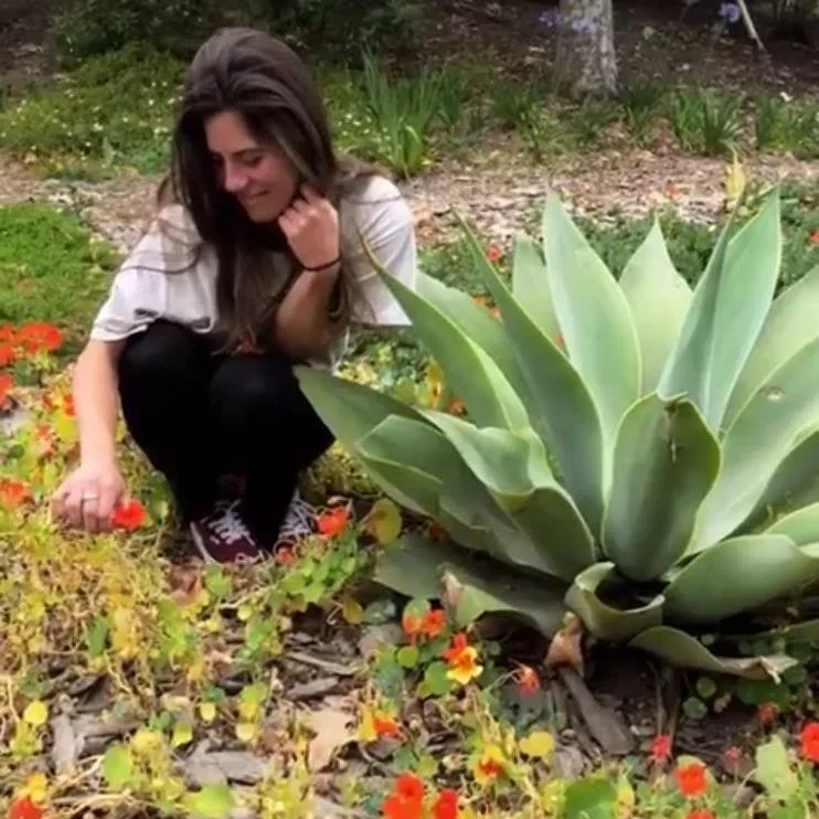 A woman with long brown hair crouching in a garden, smiling, near a large succulent plant and small orange and yellow flowers.