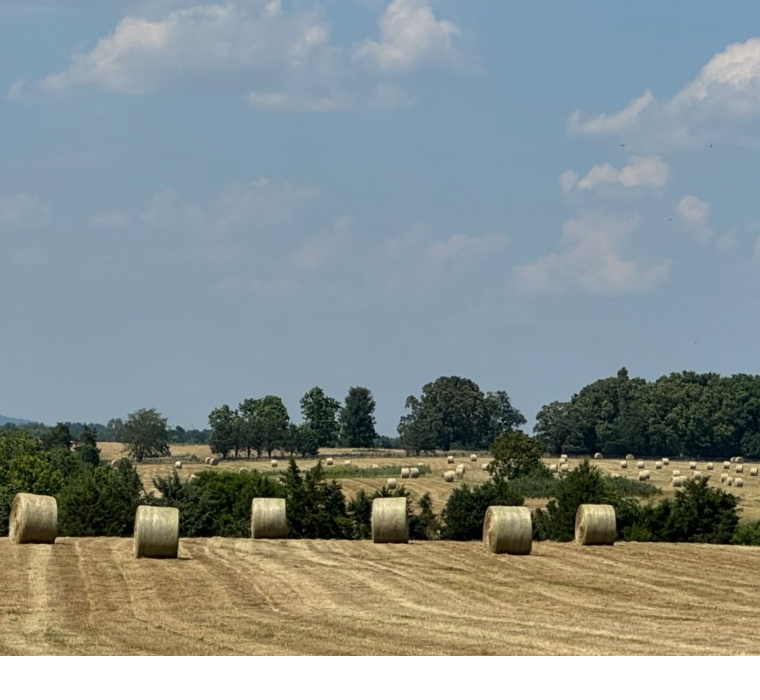 Charles Rosson Agriculture Scholarship