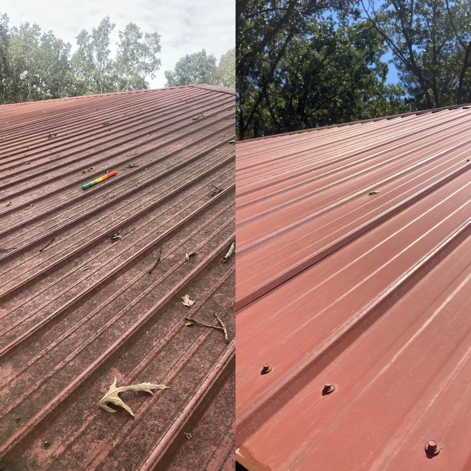 Metal roof before and after soft washing by Apex Soft Wash