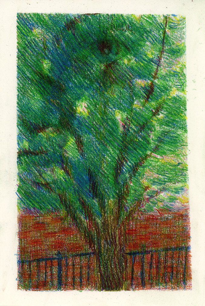 LaurenOConnell_WishingTree_website.jpg