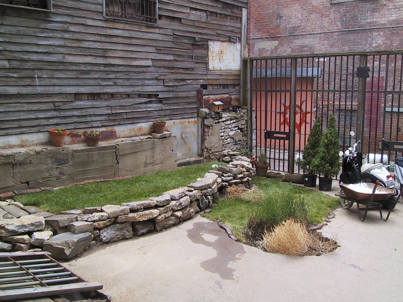 67.IMG_5556.JPG