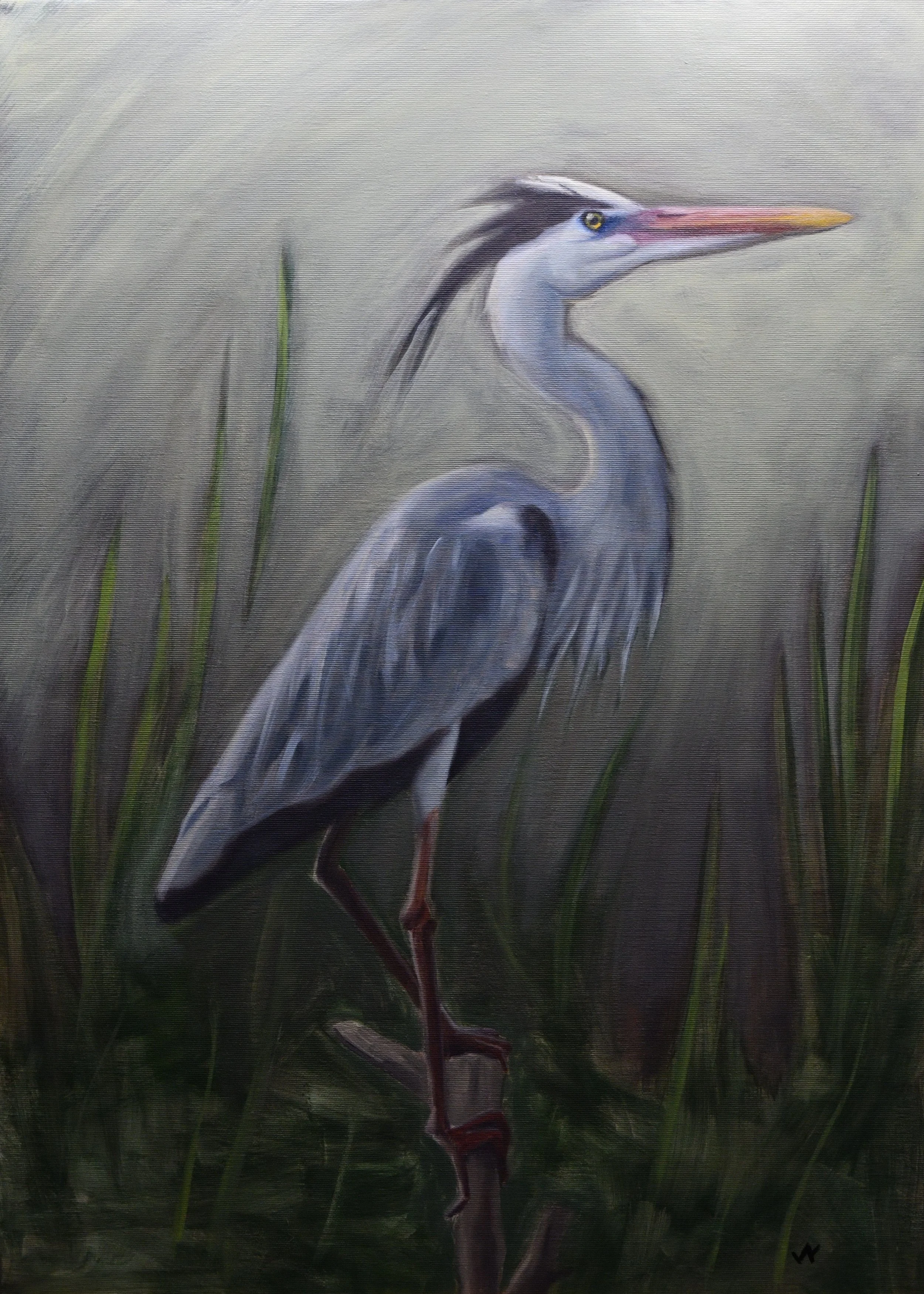 Great Blue Heron commission