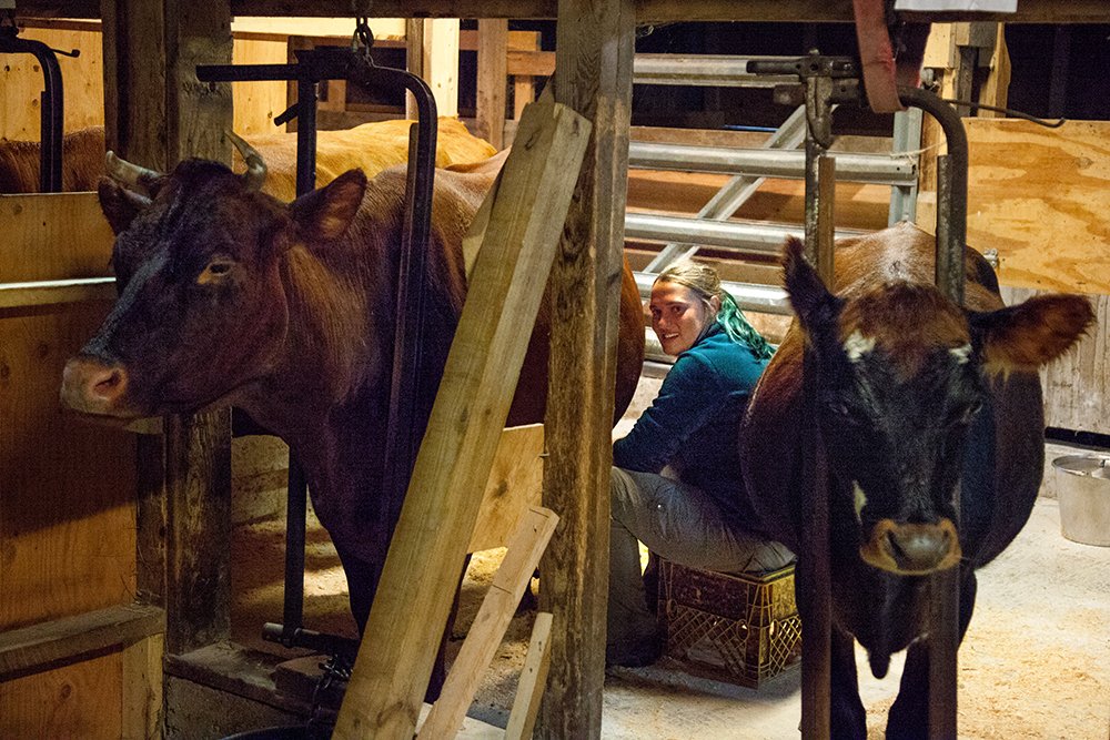 Farmer Position — Plowshare Farm Lifesharing Community