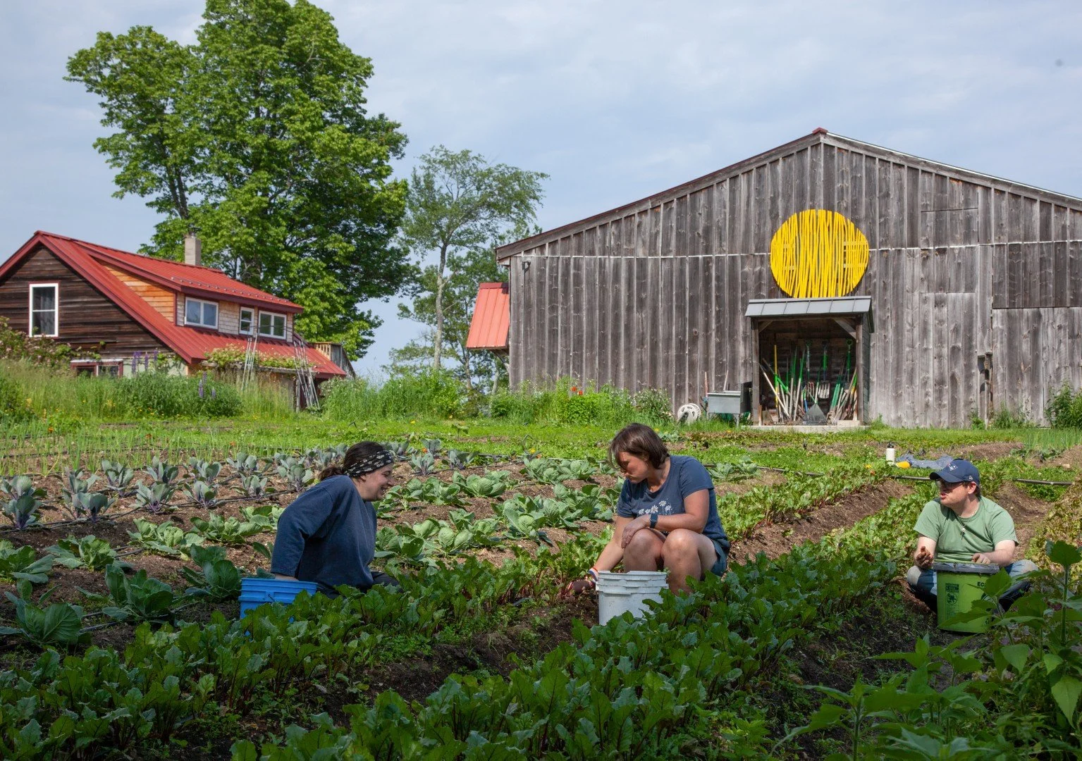 Gardeners at work in the field.