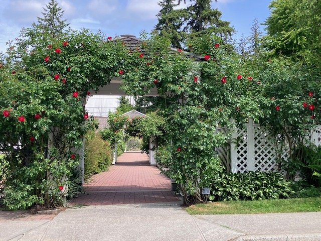 garden1.jpeg