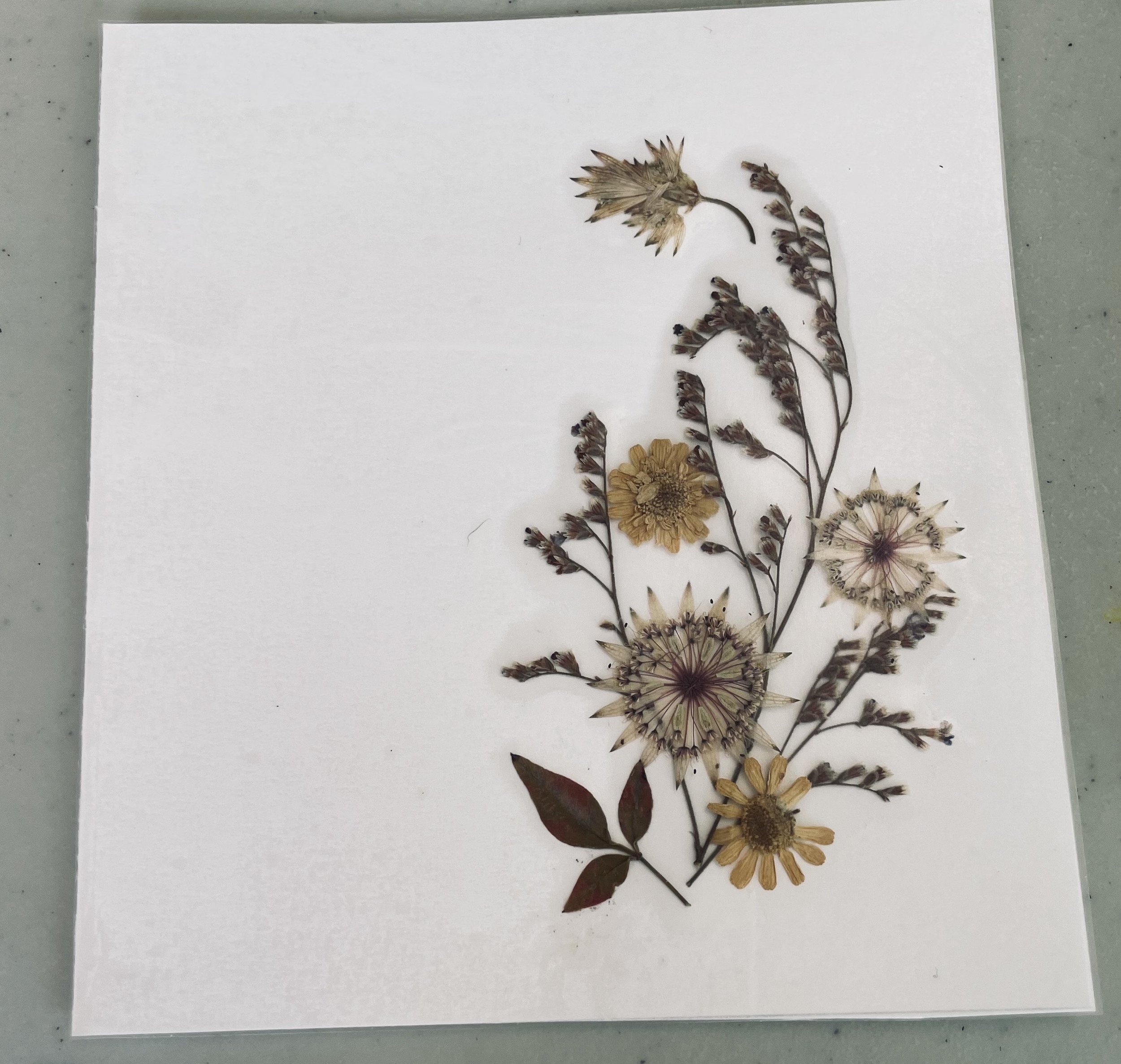 Pressed Flower Design