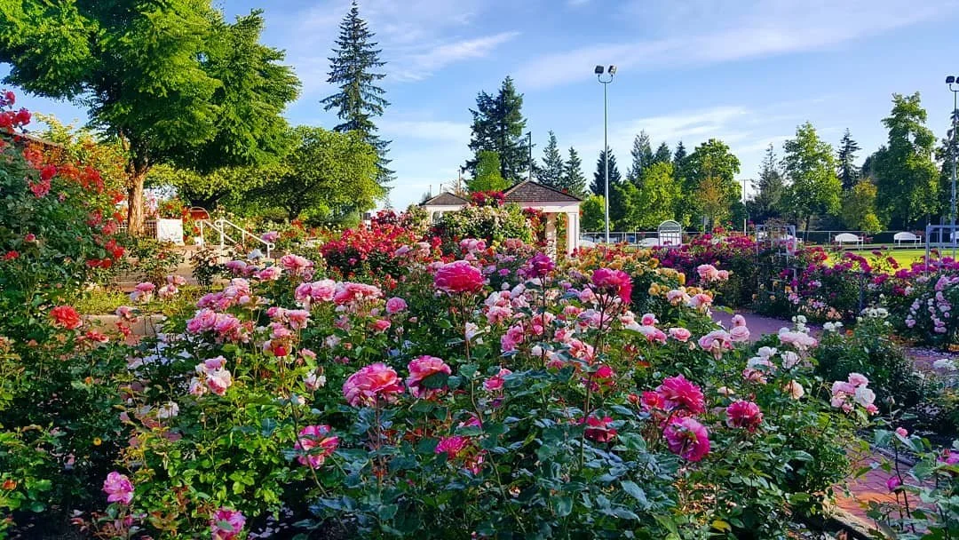 7.-Centennial-Rose-Garden.jpg