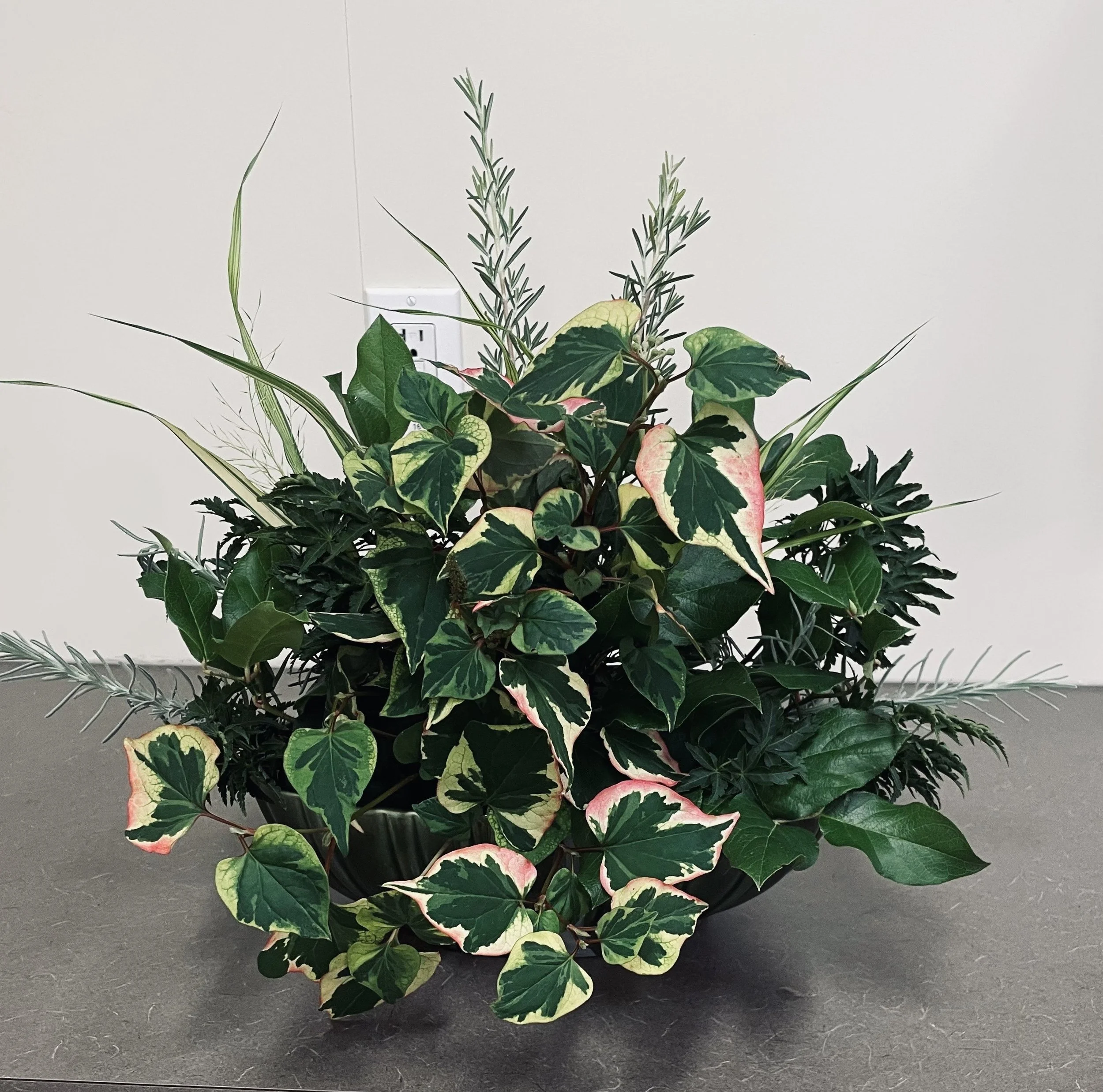 All Foliage Design