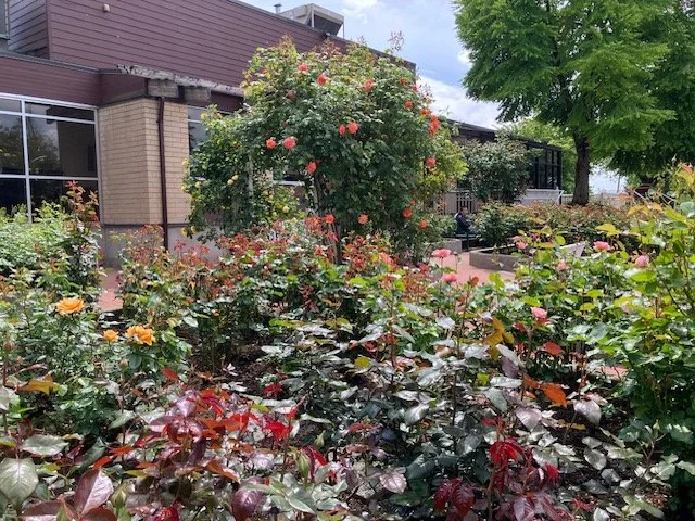 garden6.jpeg